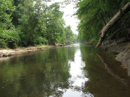 Brown water of Sepulga River