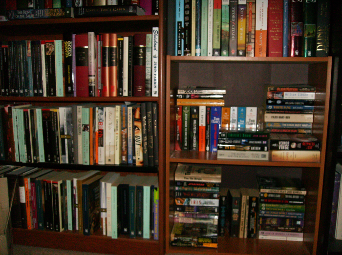 a couple of shelves of books