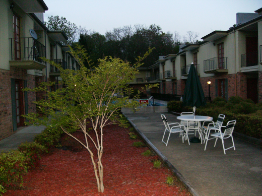 A shot of a pool through some trees with a pool closed sign visible