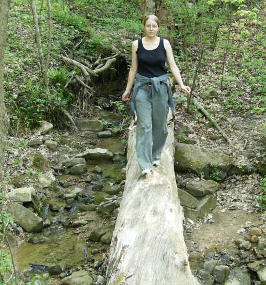 Sarah Crossing Log